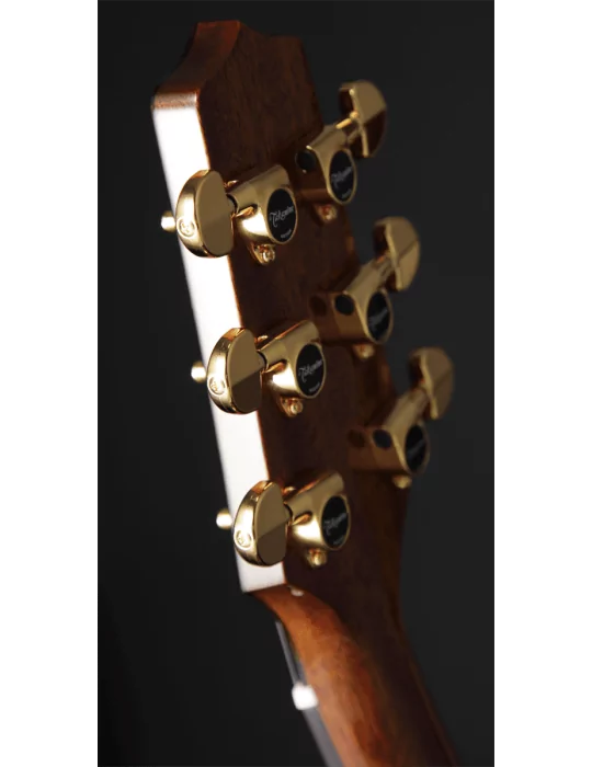 TAKAMINE P5NC | MusicGoodDeal