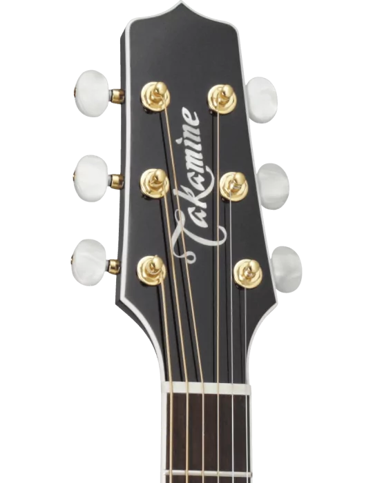 TAKAMINE P6NBSB | MusicGoodDeal