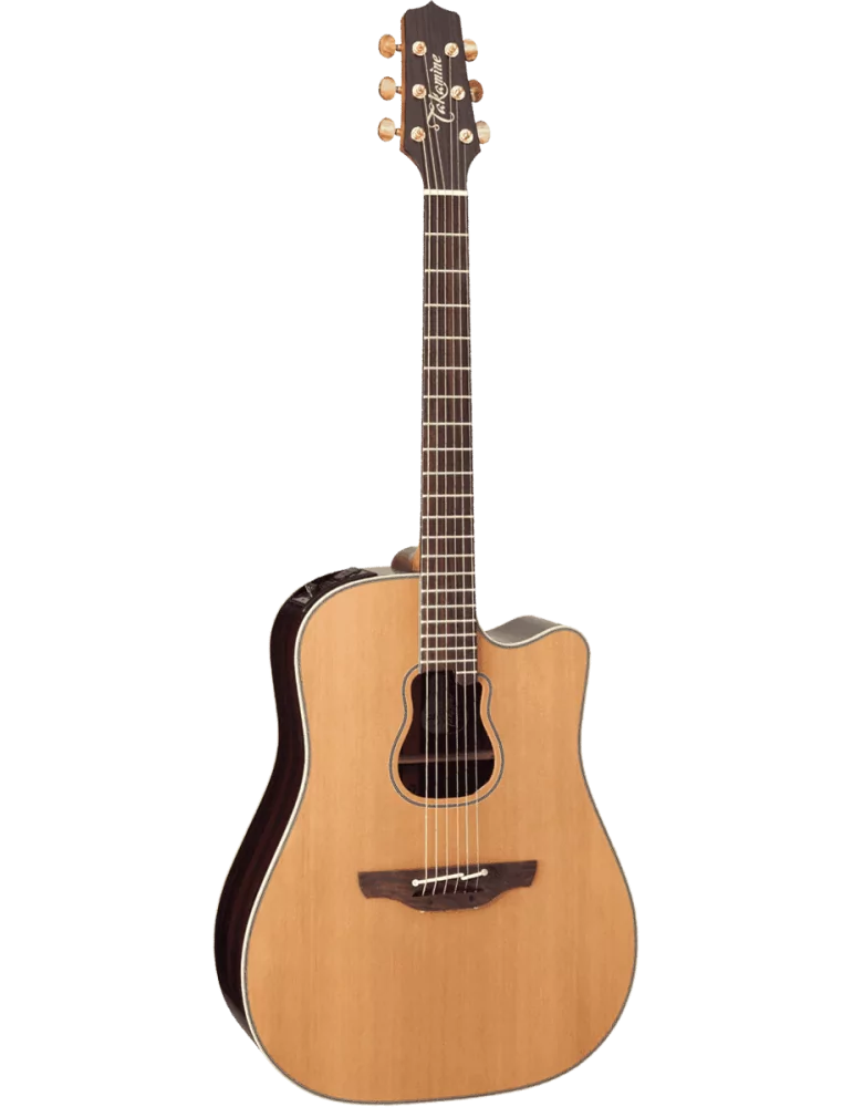 TAKAMINE GB7C | MusicGoodDeal