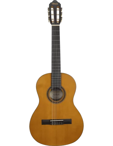 VALENCIA VC203 | MusicGoodDeal