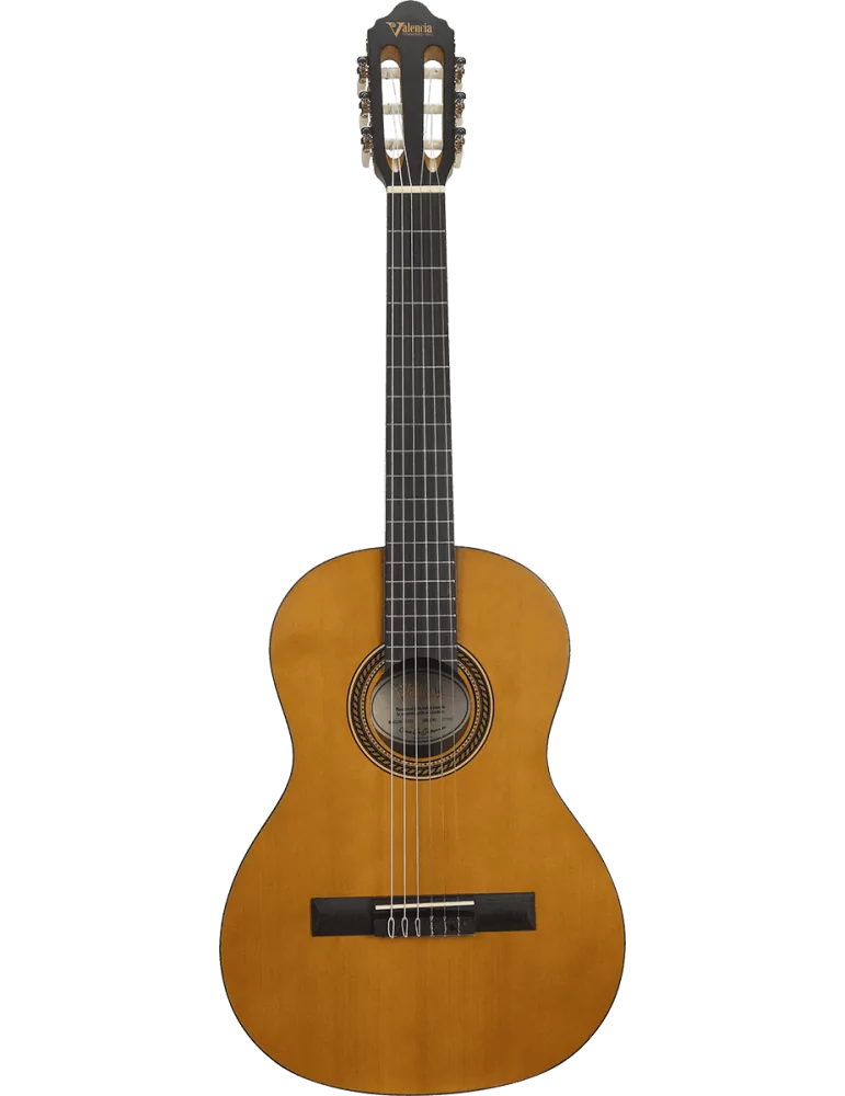 VALENCIA VC203 | MusicGoodDeal
