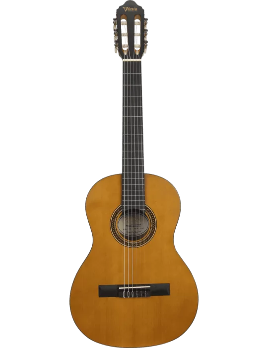 VALENCIA VC203 | MusicGoodDeal