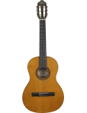 VALENCIA VC203 | MusicGoodDeal