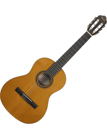 VALENCIA VC203 | MusicGoodDeal 2