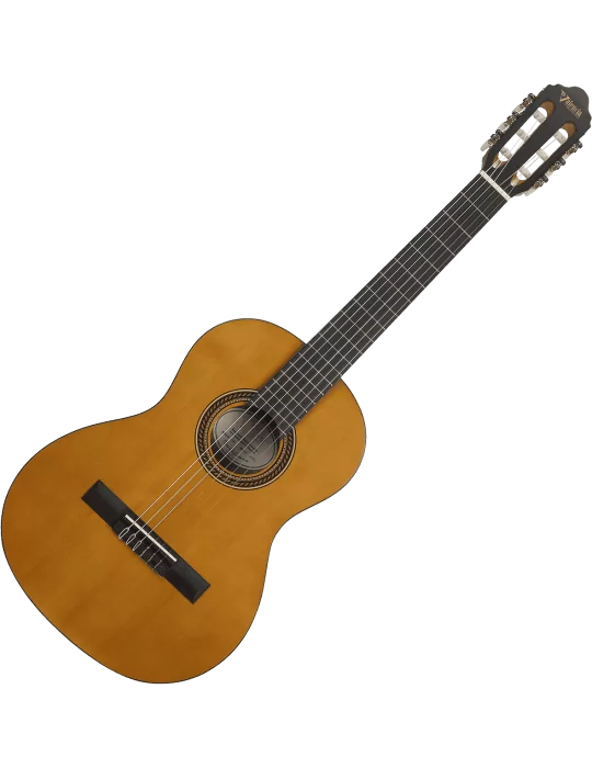 VALENCIA VC203 | MusicGoodDeal