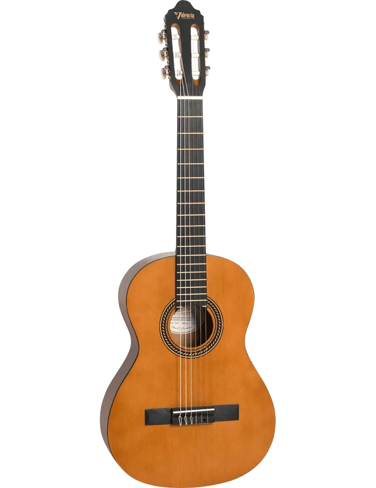 VALENCIA VC203 | MusicGoodDeal
