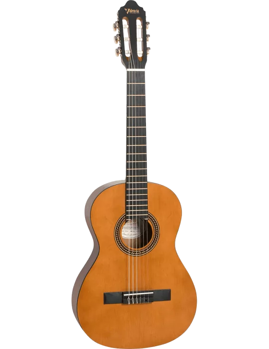 VALENCIA VC203 | MusicGoodDeal