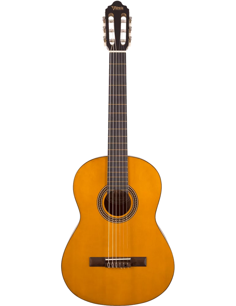 VALENCIA VC204 | MusicGoodDeal