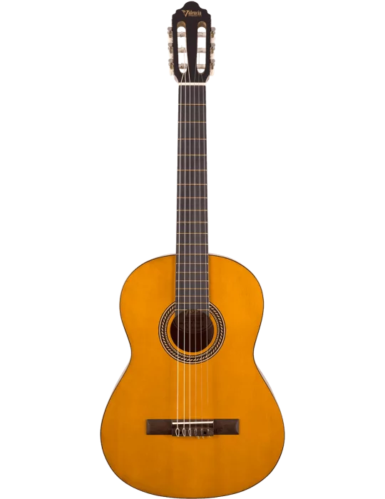 VALENCIA VC204 | MusicGoodDeal