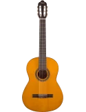 VALENCIA VC204 | MusicGoodDeal
