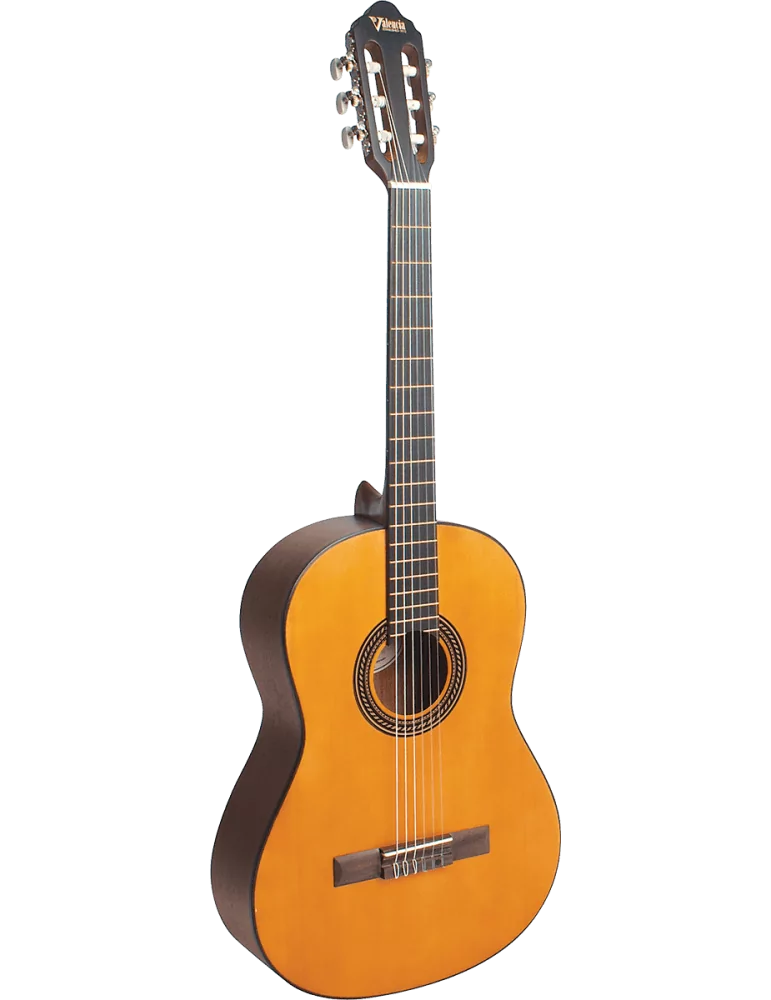 VALENCIA VC204 | MusicGoodDeal