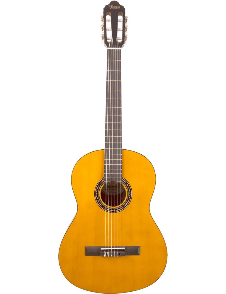 VALENCIA VC204H | MusicGoodDeal