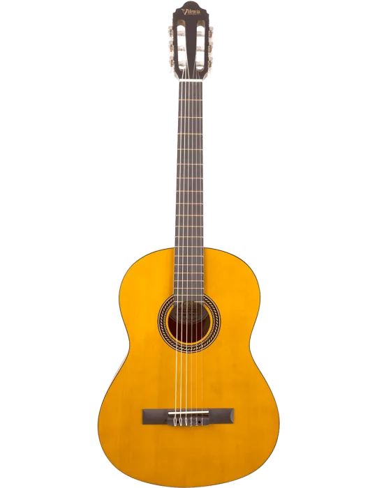 VALENCIA VC204H | MusicGoodDeal
