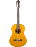 VALENCIA VC204H | MusicGoodDeal