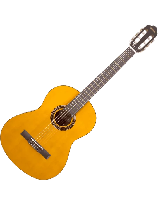 VALENCIA VC204H | MusicGoodDeal