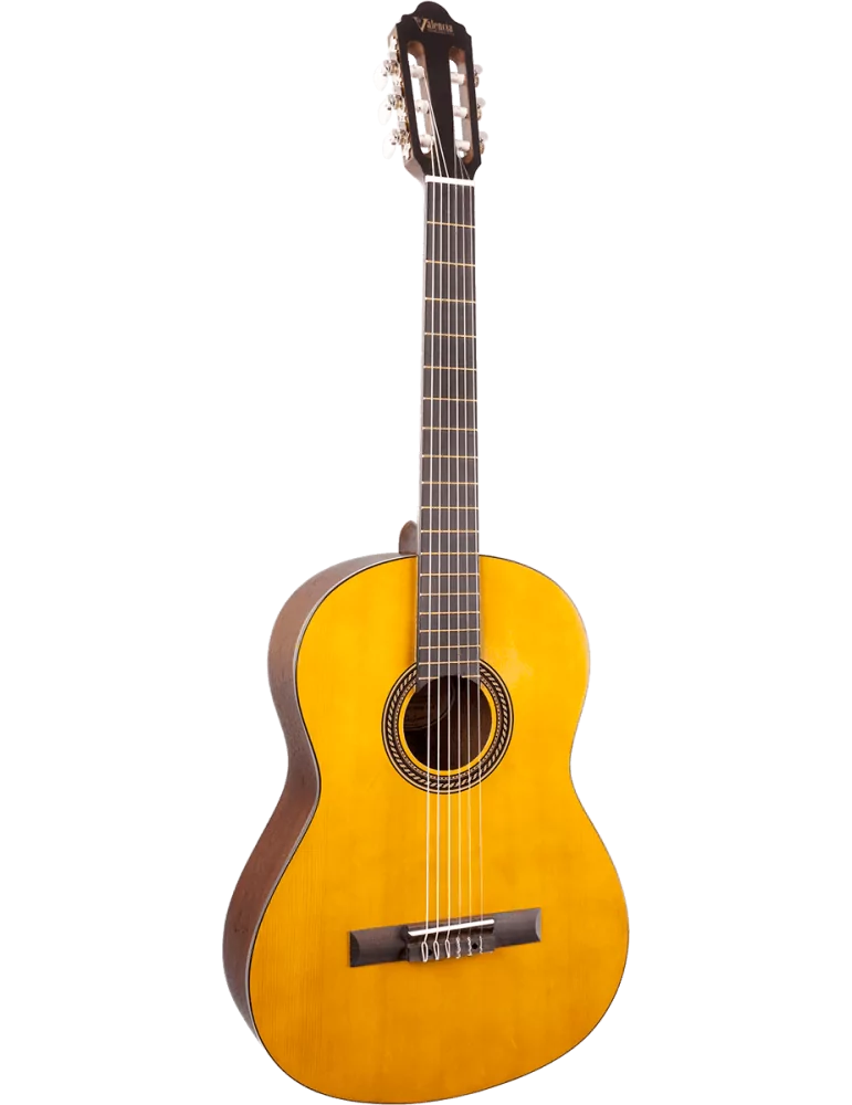 VALENCIA VC204H | MusicGoodDeal