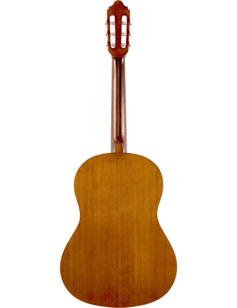 VALENCIA VC204H | MusicGoodDeal