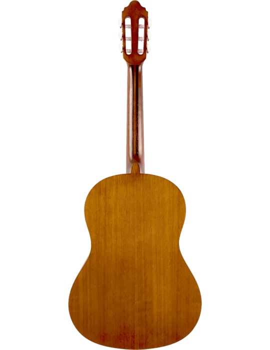 VALENCIA VC204H | MusicGoodDeal