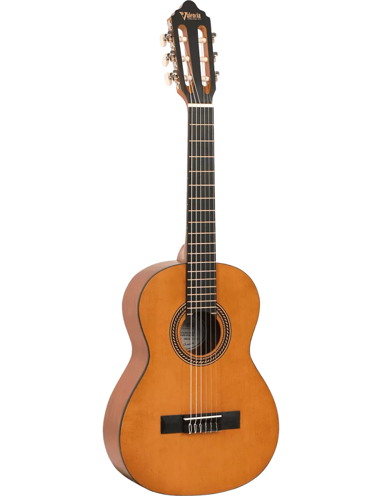 VALENCIA VC202 | MusicGoodDeal
