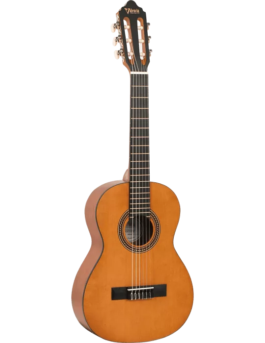 VALENCIA VC202 | MusicGoodDeal