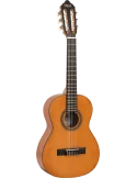 VALENCIA VC202 | MusicGoodDeal