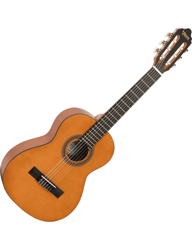 VALENCIA VC202 | MusicGoodDeal