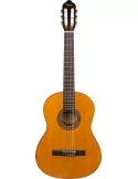VALENCIA VC204L | MusicGoodDeal