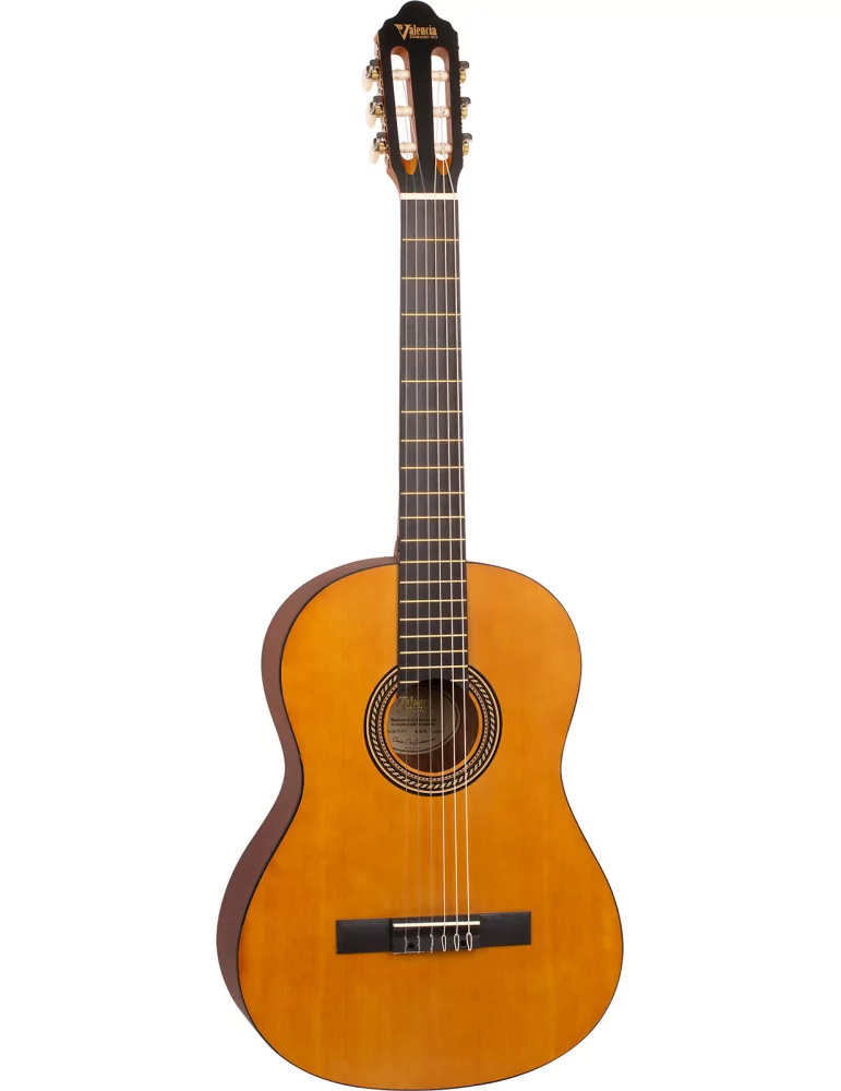 VALENCIA VC204L | MusicGoodDeal