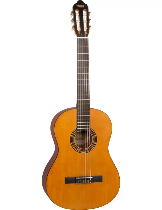 VALENCIA VC204L | MusicGoodDeal