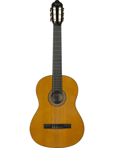 VALENCIA VC264 | MusicGoodDeal