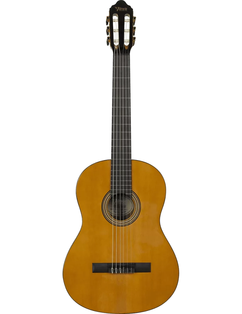 VALENCIA VC264 | MusicGoodDeal
