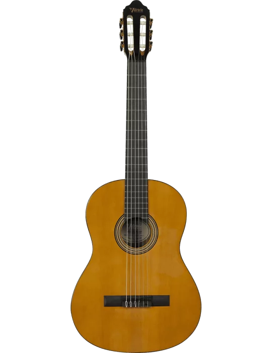 VALENCIA VC264 | MusicGoodDeal