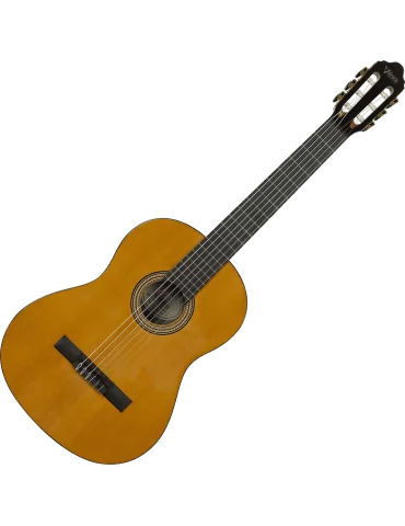 VALENCIA VC264 | MusicGoodDeal 2