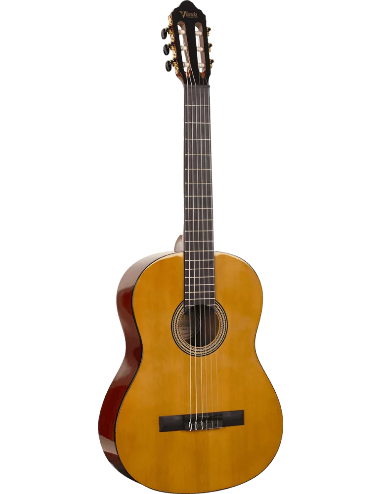 VALENCIA VC264 | MusicGoodDeal