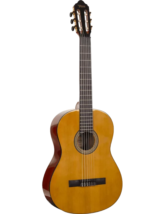 VALENCIA VC264 | MusicGoodDeal