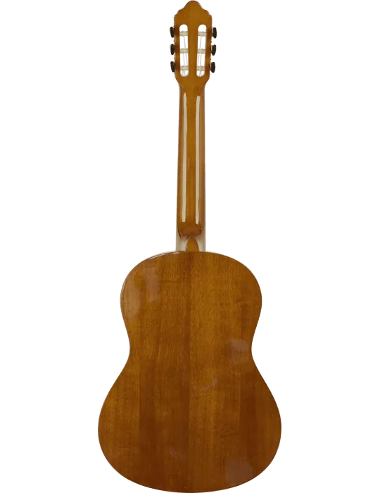 VALENCIA VC264 | MusicGoodDeal