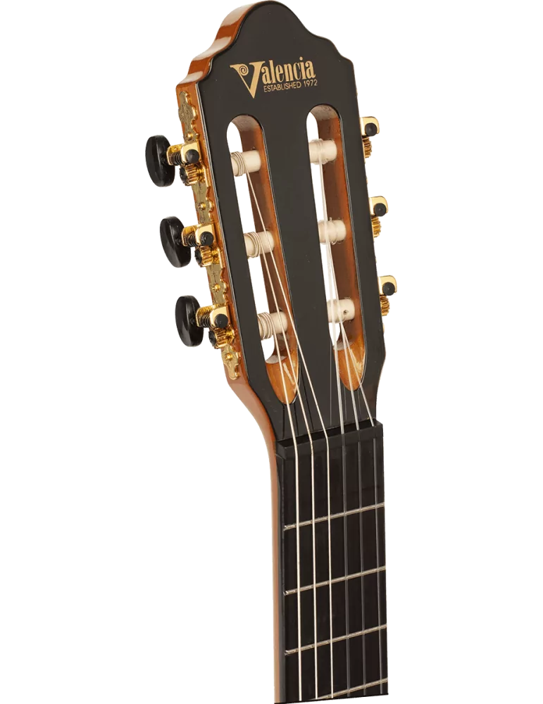 VALENCIA VC264 | MusicGoodDeal