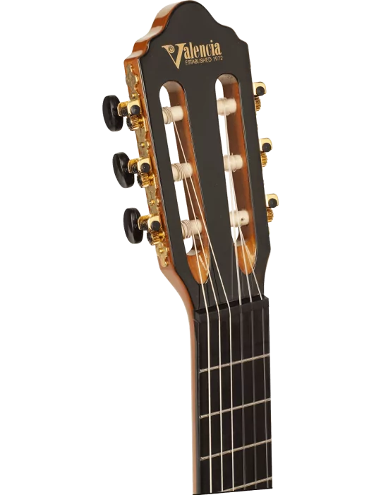 VALENCIA VC264 | MusicGoodDeal
