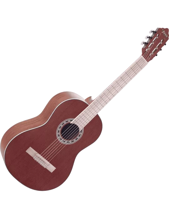 VALENCIA VC354-WR | MusicGoodDeal
