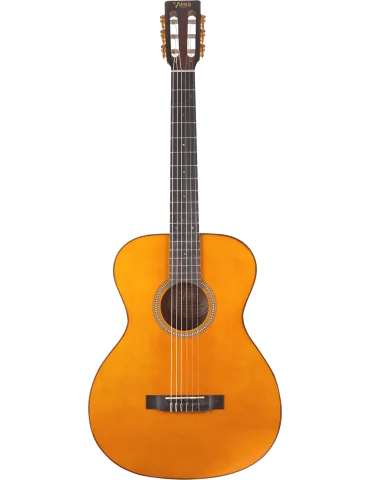 VALENCIA VA434-VNA | MusicGoodDeal
