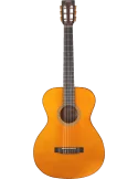 VALENCIA VA434-VNA | MusicGoodDeal