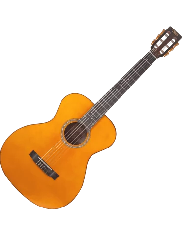 VALENCIA VA434-VNA | MusicGoodDeal 2