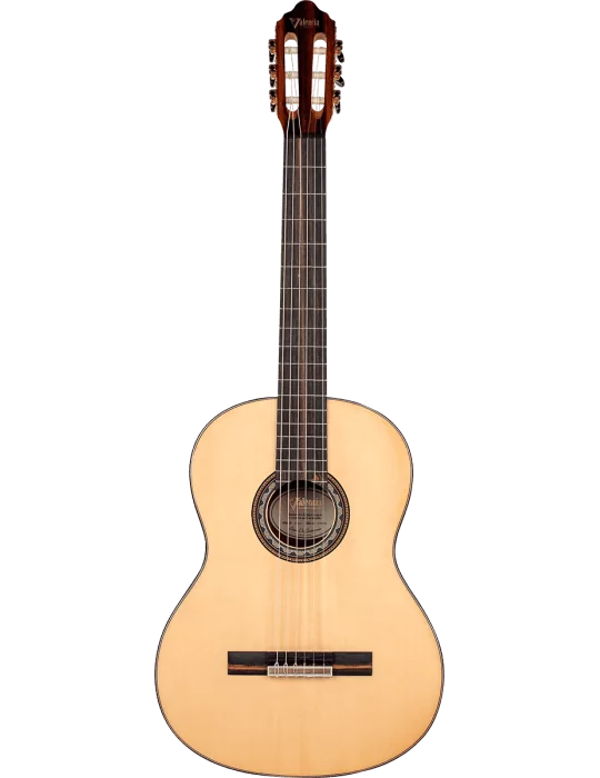 VALENCIA VC564 | MusicGoodDeal