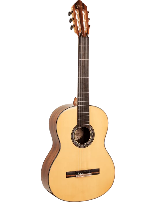 VALENCIA VC564 | MusicGoodDeal
