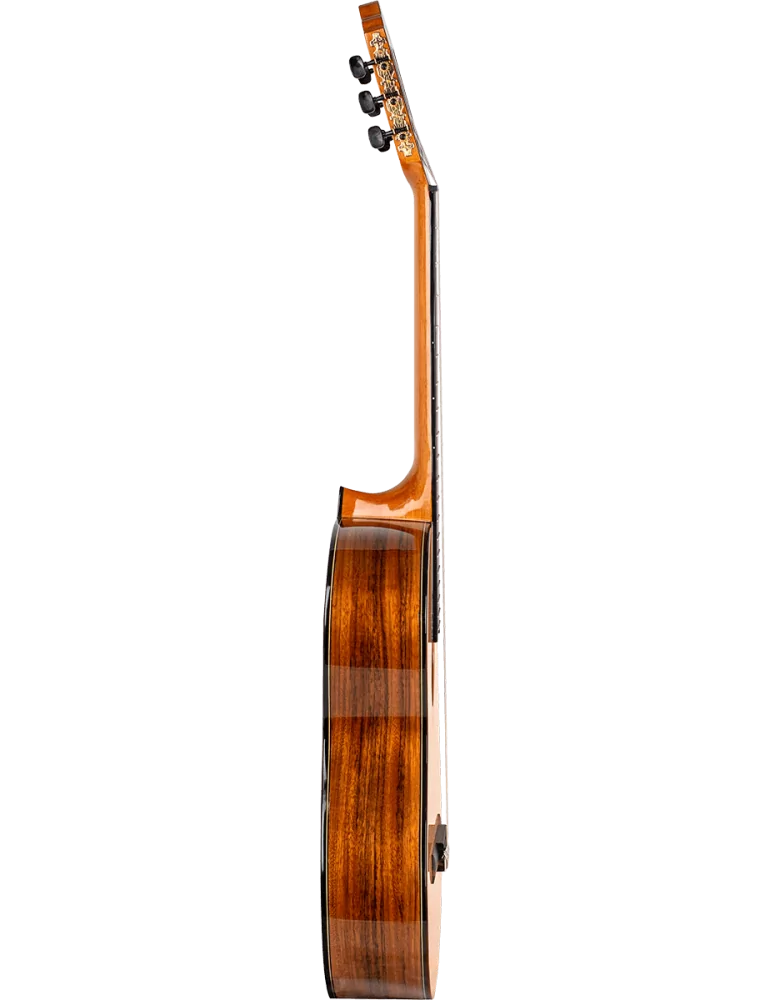 VALENCIA VC564 | MusicGoodDeal