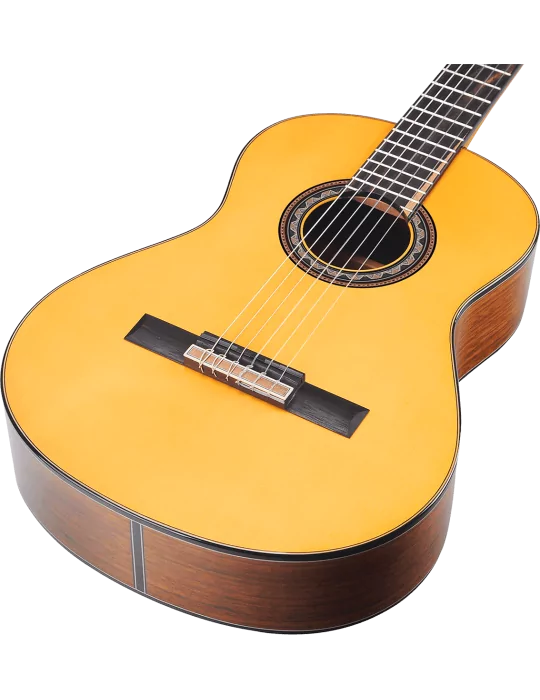 VALENCIA VC564 | MusicGoodDeal