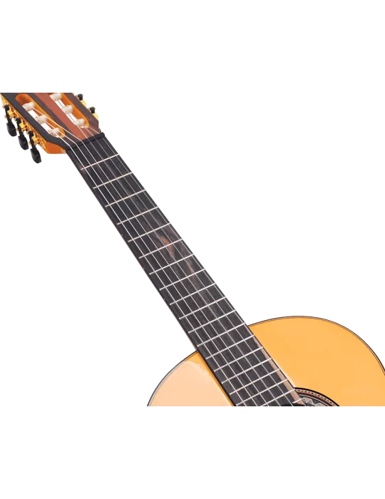 VALENCIA VC564 | MusicGoodDeal