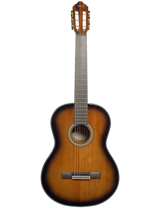 VALENCIA VC564-BSB | MusicGoodDeal