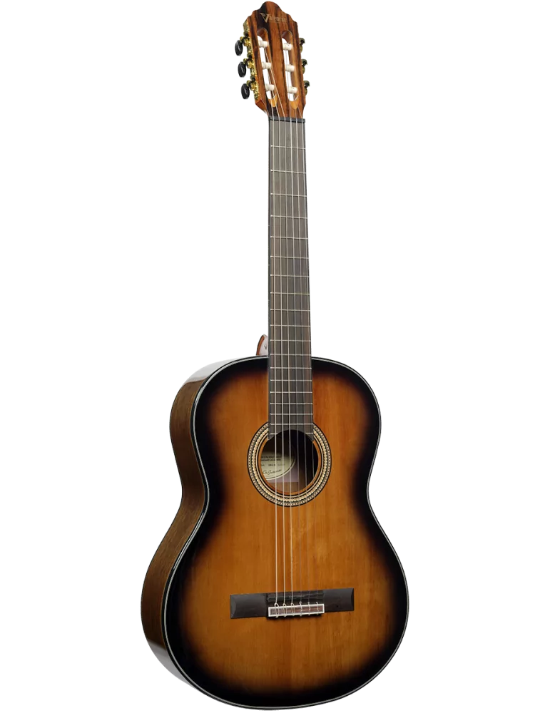 VALENCIA VC564-BSB | MusicGoodDeal