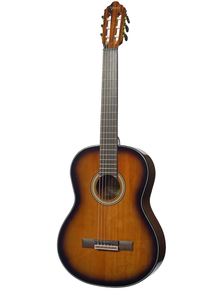 VALENCIA VC564-BSB | MusicGoodDeal